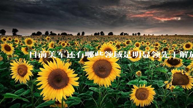 目前美军还有哪些领域是明显领先于解放军的？