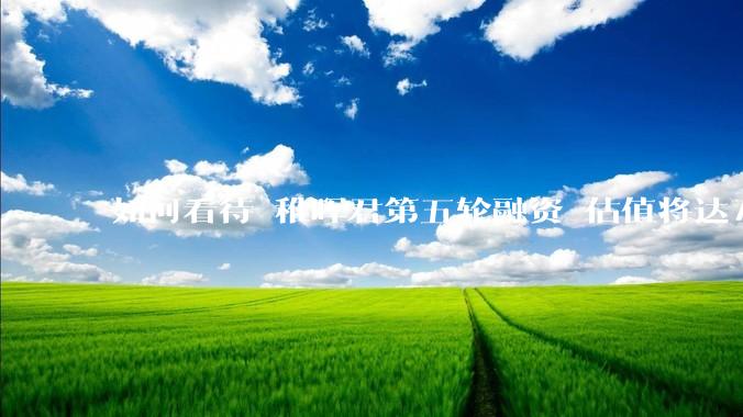 如何看待 稚晖君第五轮融资 估值将达70亿？
