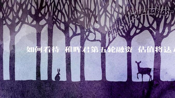 如何看待 稚晖君第五轮融资 估值将达70亿？