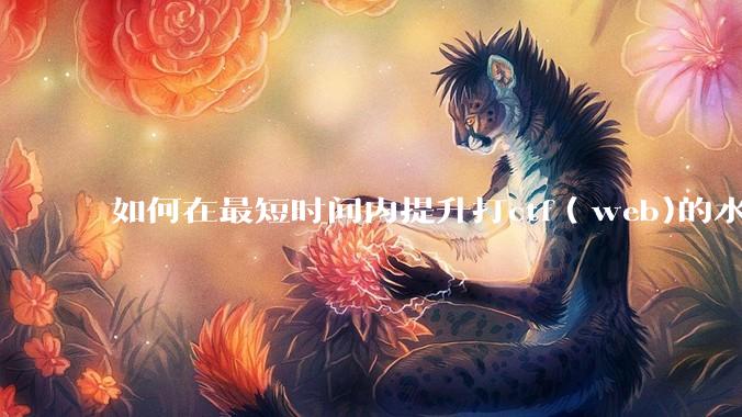 如何在最短时间内提升打ctf（web)的水平？