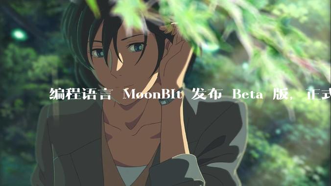 编程语言 MoonBit 发布 Beta 版，正式进入企业场景应用，会带来哪些影响？