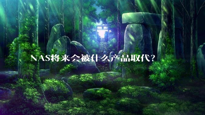 NAS将来会被什么产品取代？